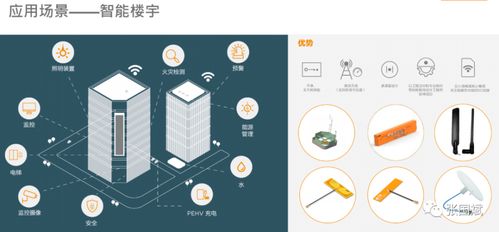 泰科电子 TE Connectivity 关于掘金物联网的三条建议